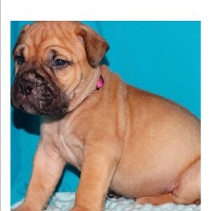 Meet your Posher, Fayth